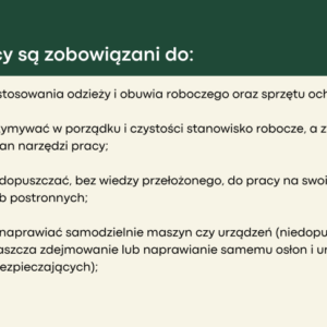 Szkolenie wstępne BHP - prezentacja - slajd 048