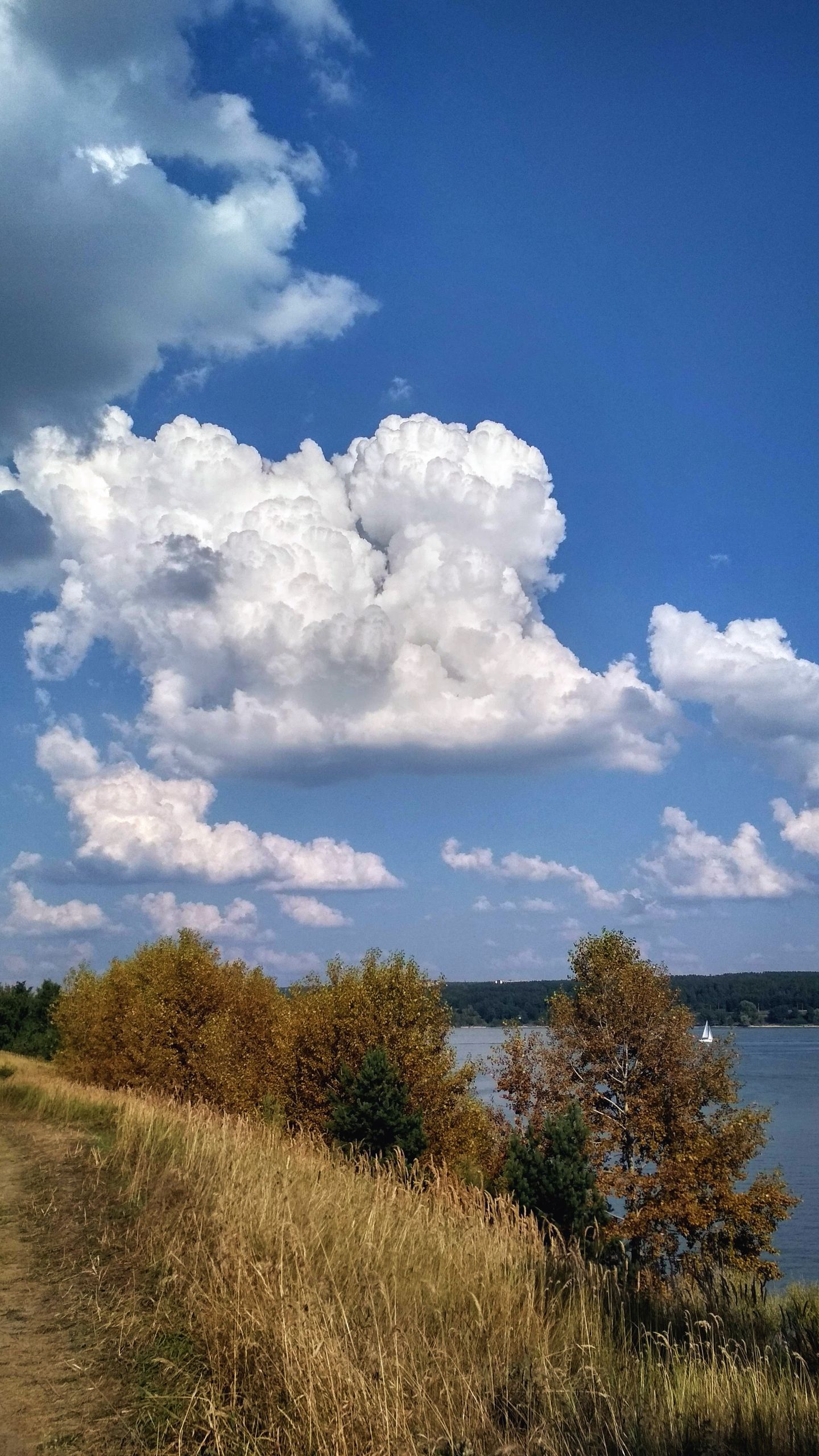 bezpieczne powietrze
